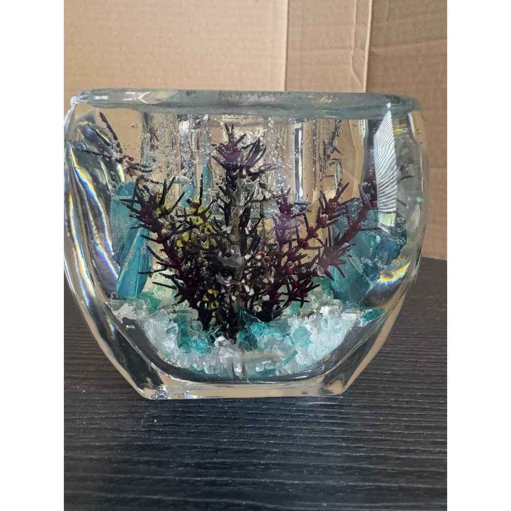 Butterfly Gel Candle  Burns Clear Burns‎ Clean Beautiful - Picture 10 of 13